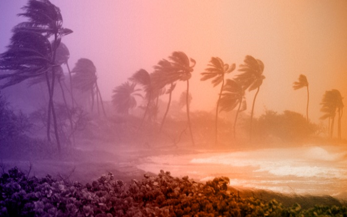 Article image description